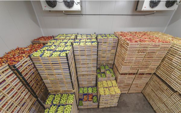 Cuarto frío para verduras y frutas