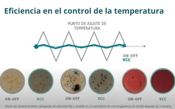 Eficiencia en la conservación de alimentos con compresores Inverter