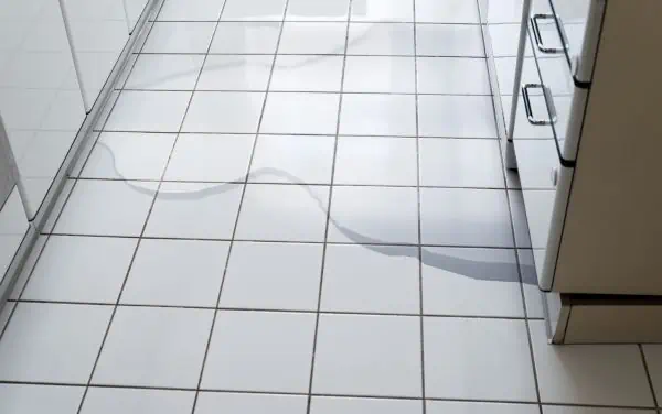 agua en el piso de una cocina